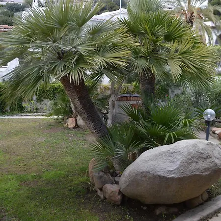 Nuova Valmar Carta 100 Mt Mare